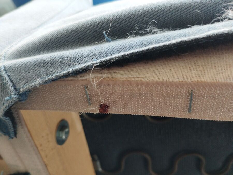 bettwanzen_bekaempfen