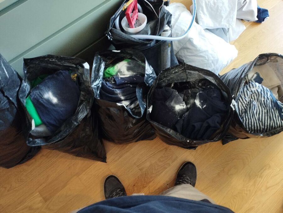 bettwanzen_bekaempfen