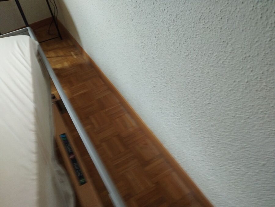 bettwanzen_bekaempfen