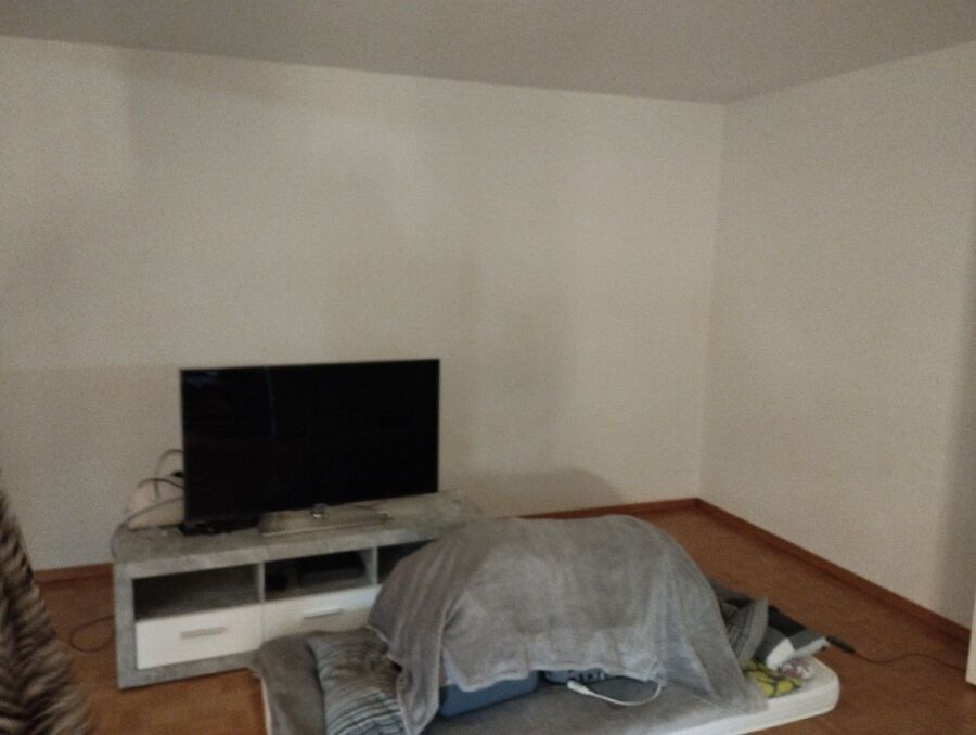 bettwanzen_bekaempfen