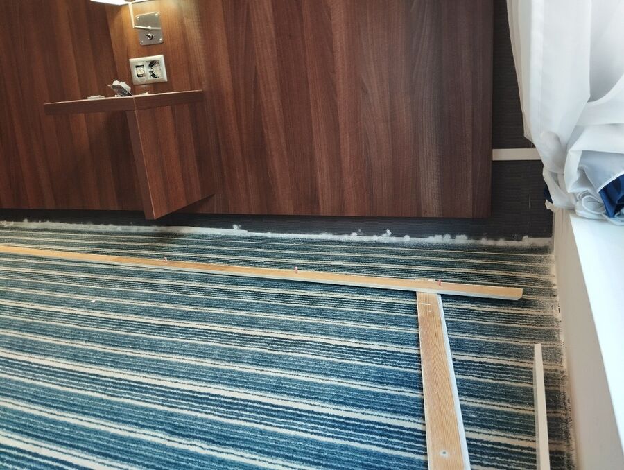 bettwanzen_bekaempfen