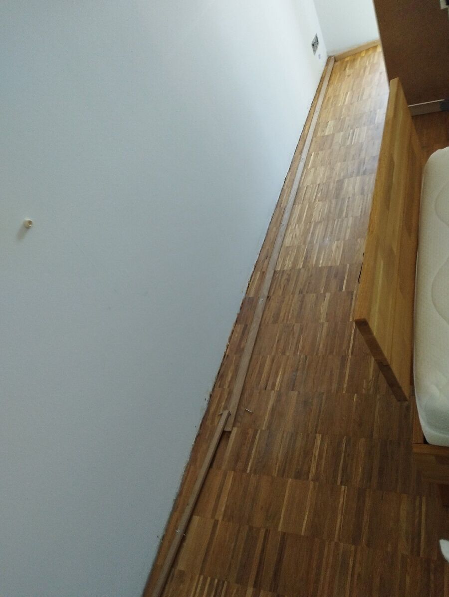 bettwanzen_bekaempfen