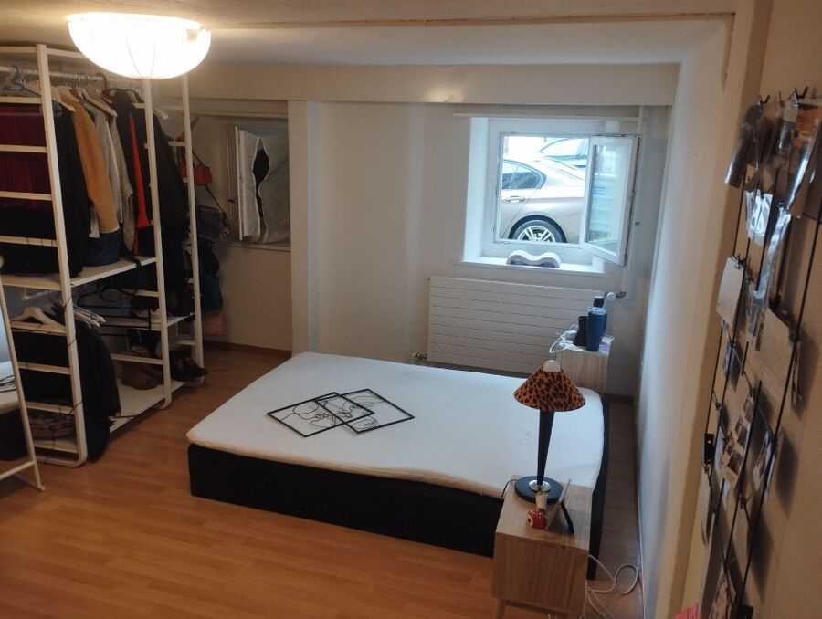 bettwanzen_bekaempfen