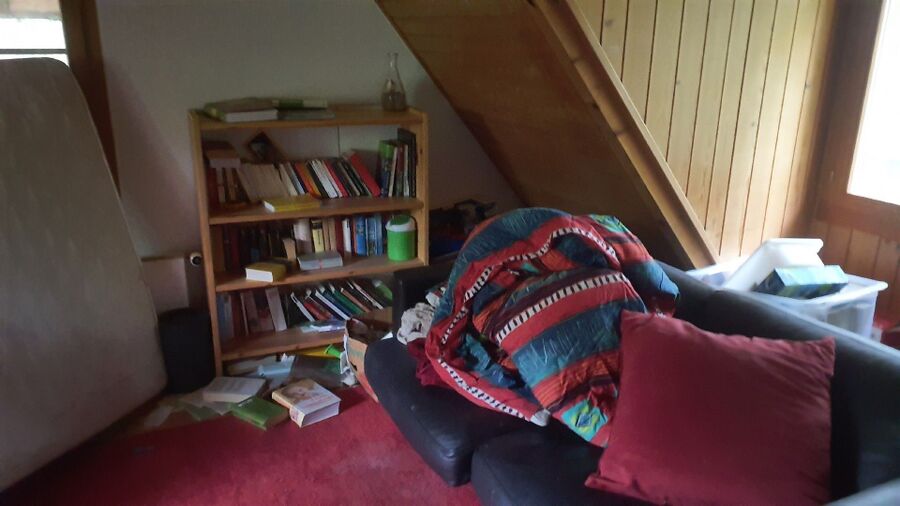 bettwanzen_bekaempfen