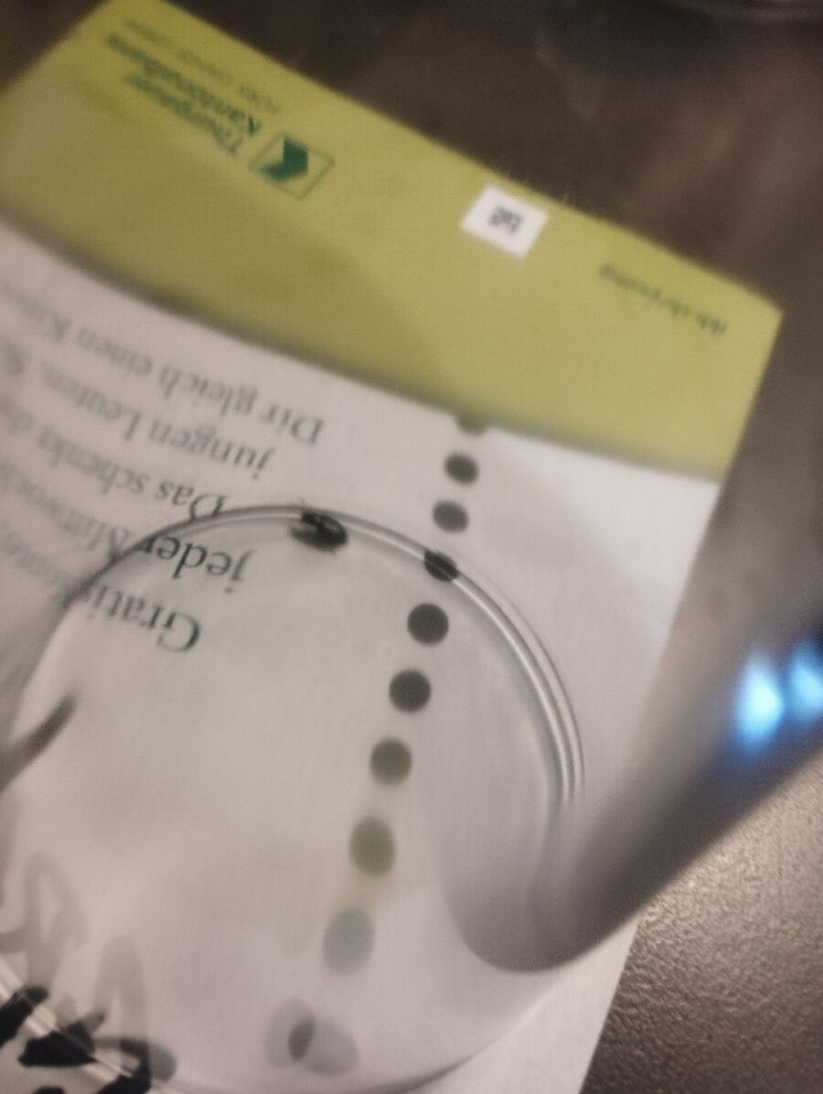 bettwanzen_bekaempfen