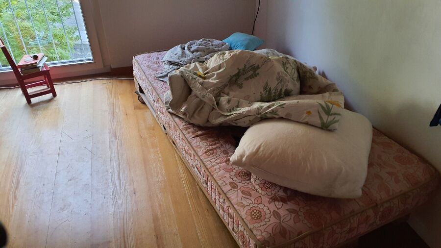 bettwanzen_bekaempfen