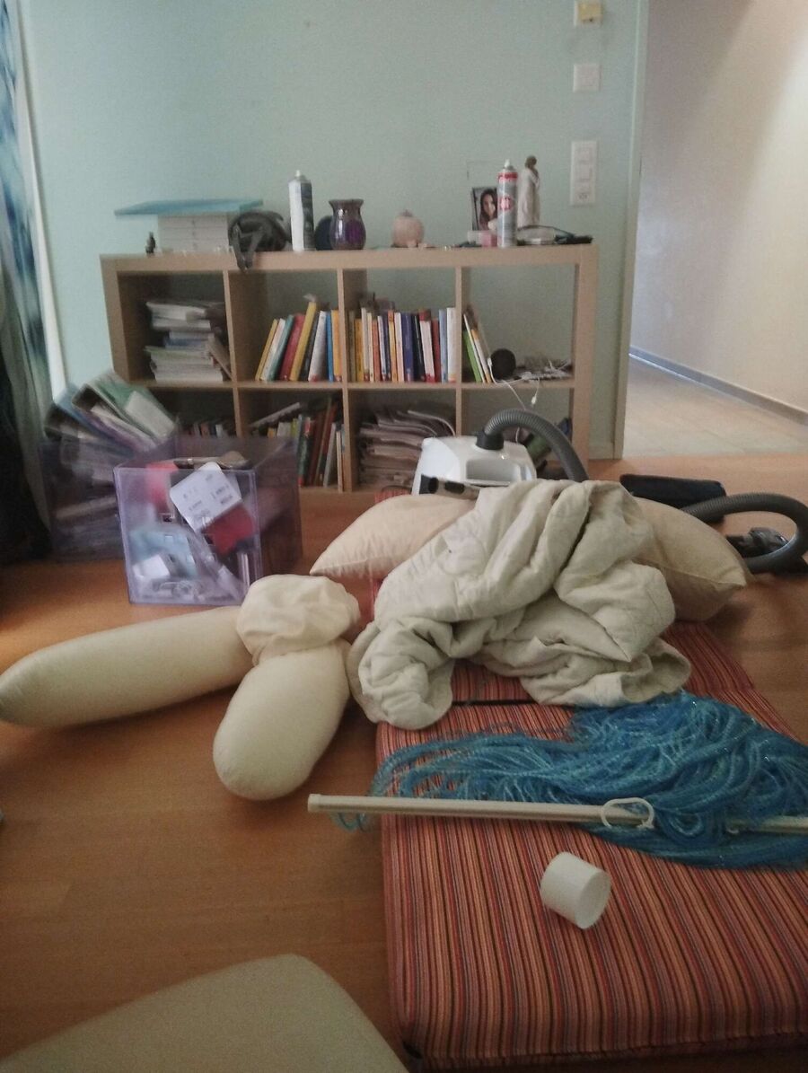 bettwanzen_bekaempfen