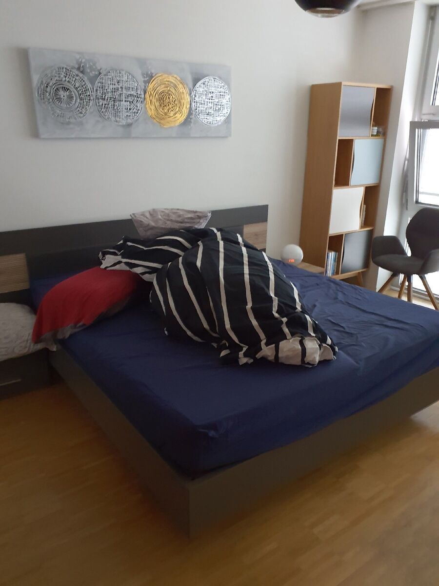 bettwanzen_bekaempfen