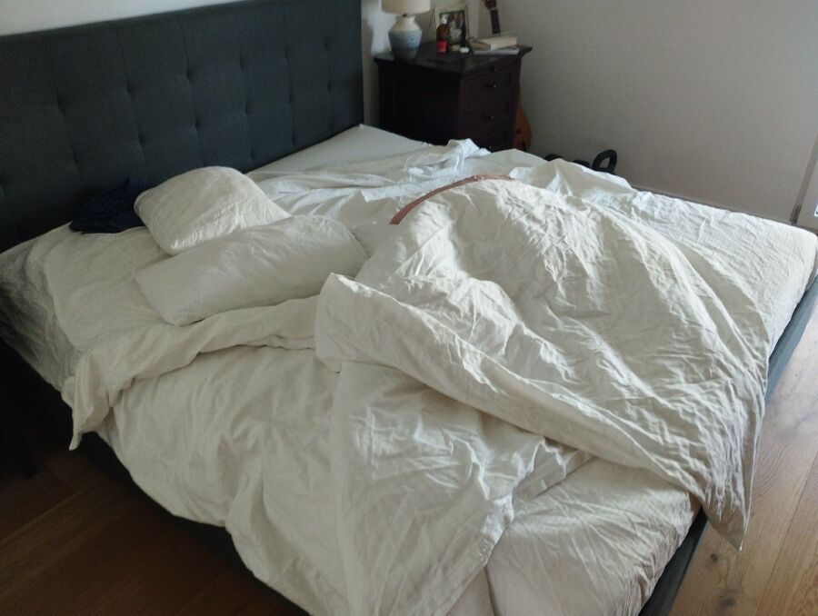 bettwanzen_bekaempfen