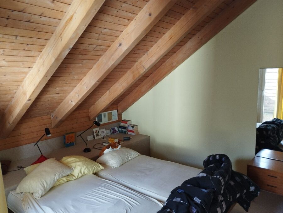 bettwanzen_bekaempfen