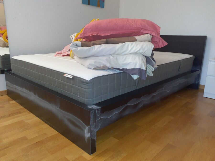 bettwanzen_bekaempfen