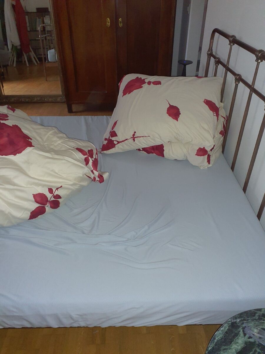 bettwanzen_bekaempfen