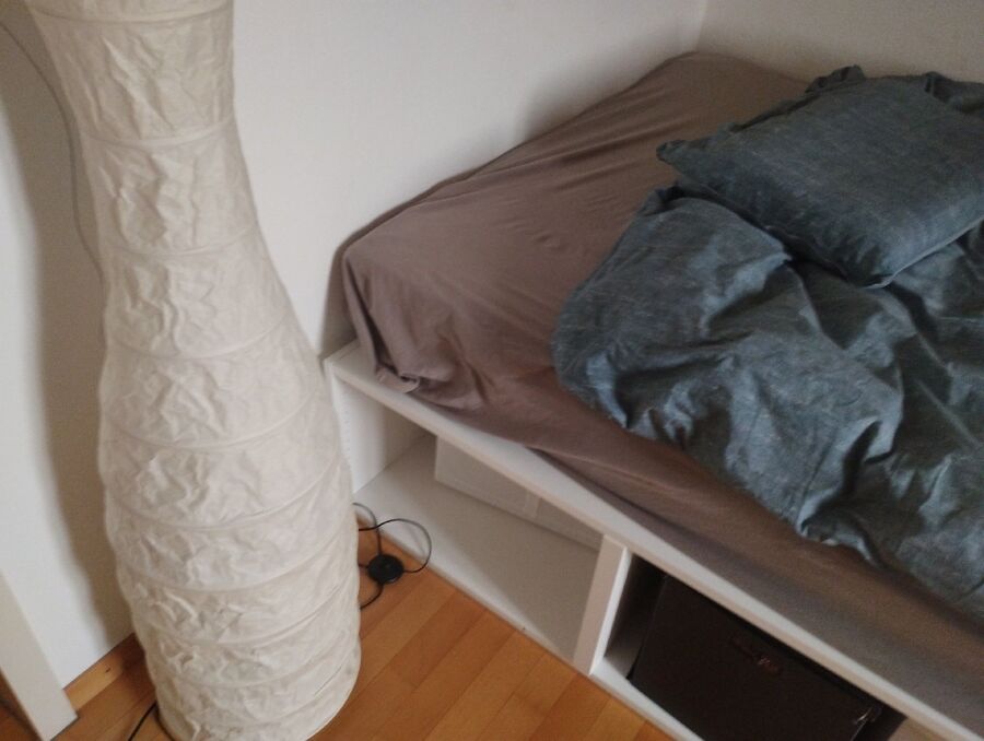 bettwanzen_bekaempfen