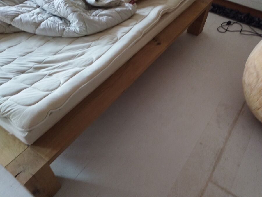 bettwanzen_bekaempfen