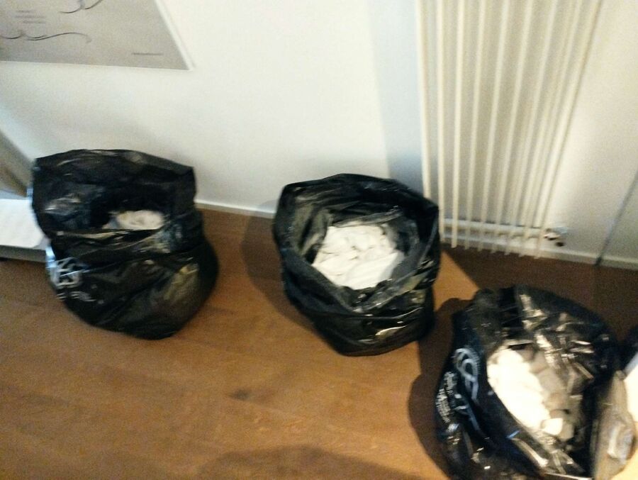 bettwanzen_bekaempfen