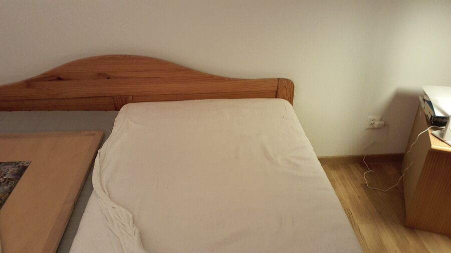 bettwanzen_bekaempfen