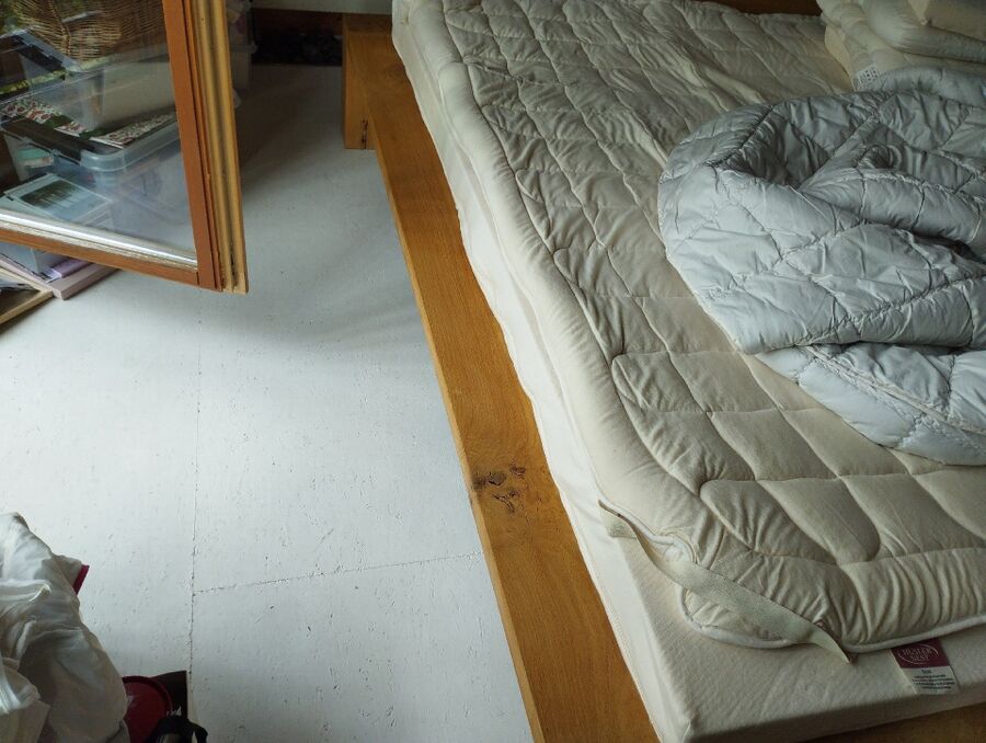 bettwanzen_bekaempfen