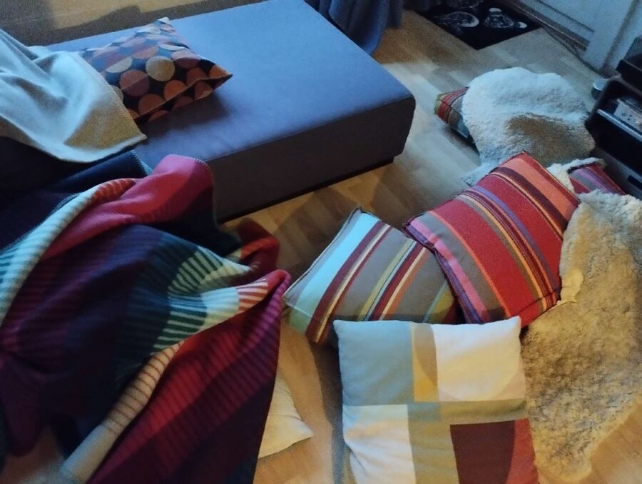 bettwanzen_bekaempfen