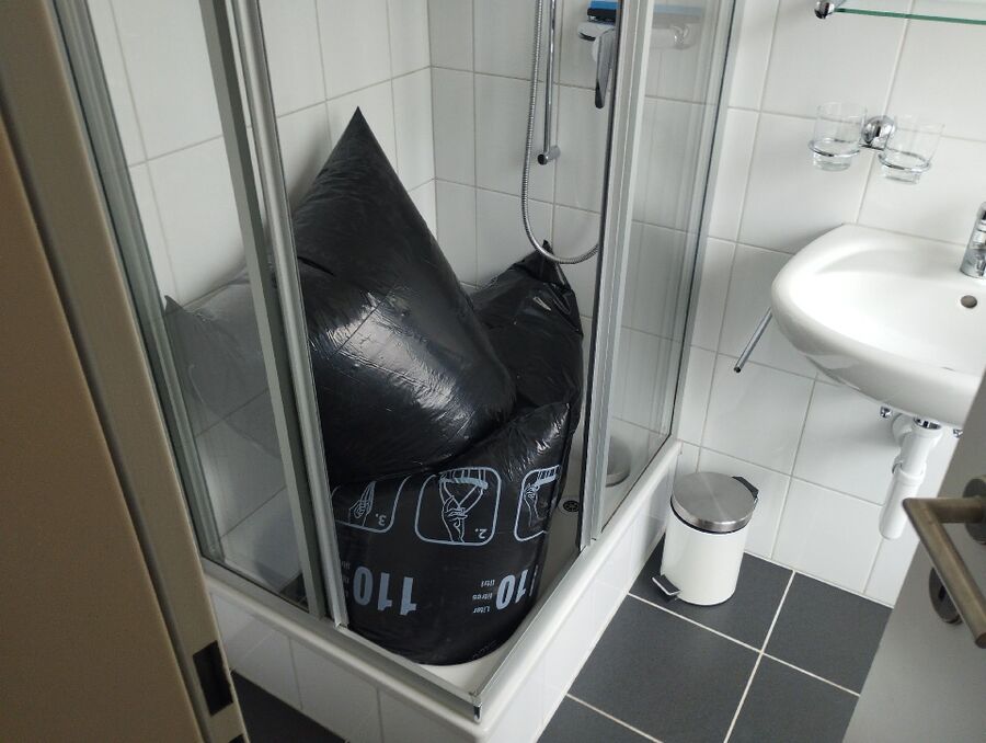 bettwanzen_bekaempfen