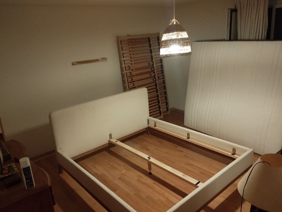 bettwanzen_bekaempfen