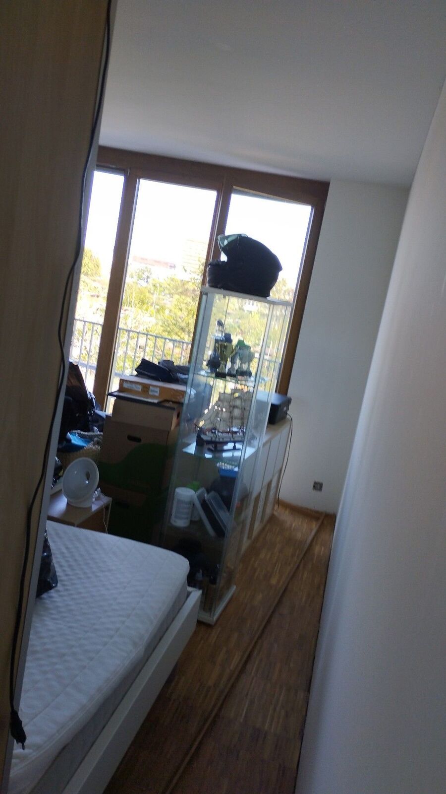 bettwanzen_bekaempfen