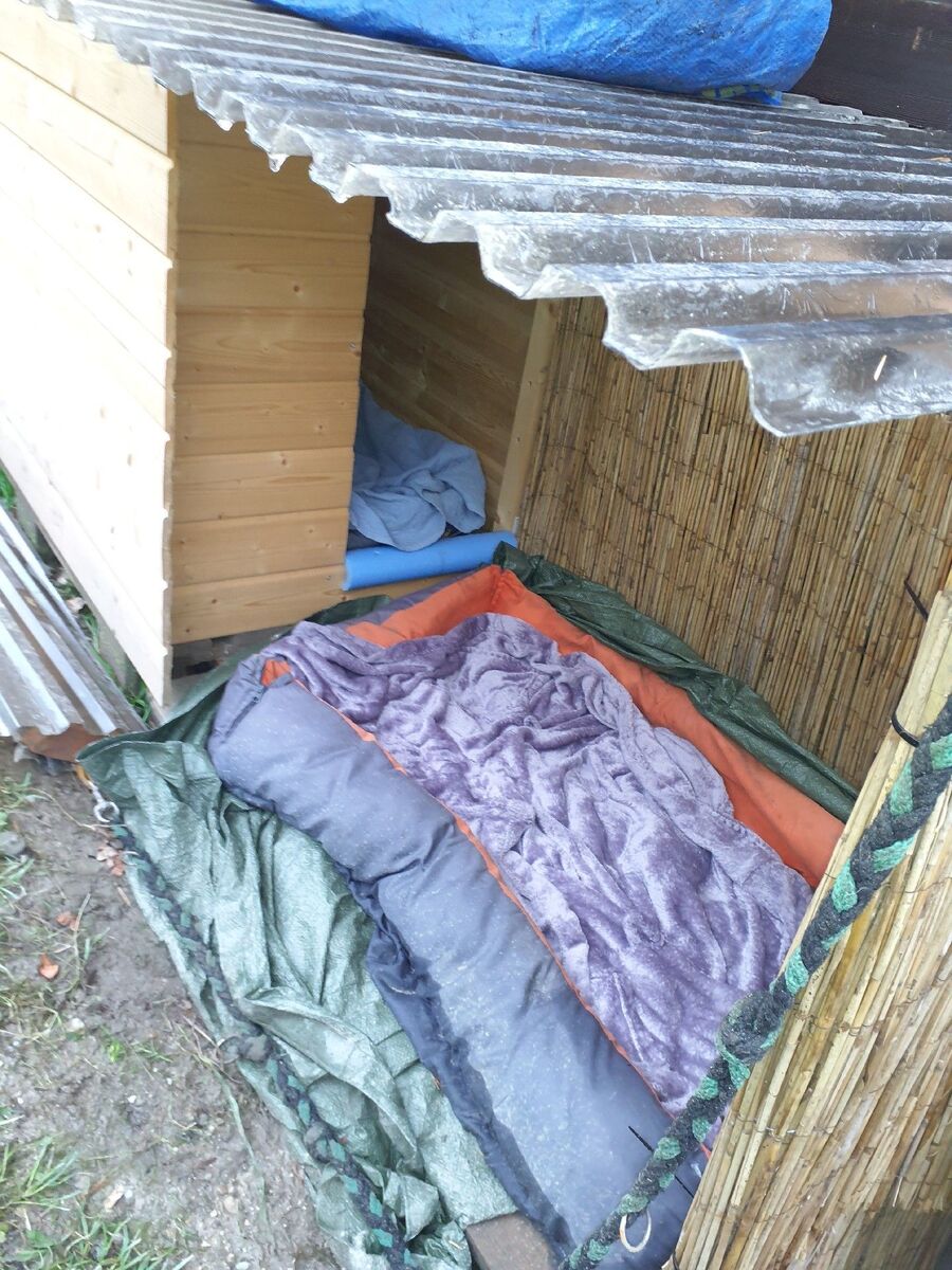 bettwanzen_bekaempfen