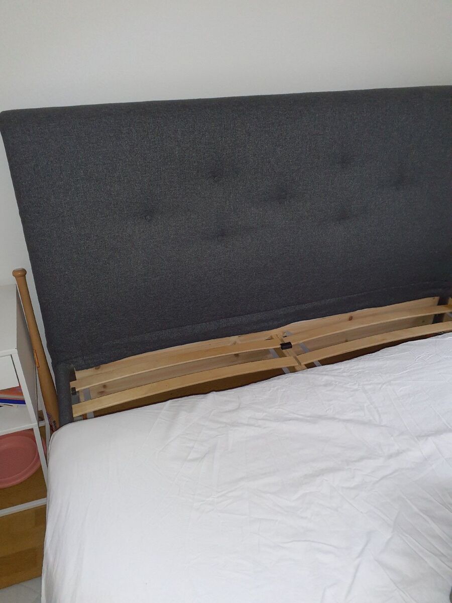 bettwanzen_bekaempfen