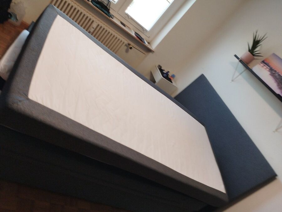 bettwanzen_bekaempfen