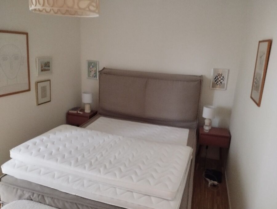 bettwanzen_bekaempfen