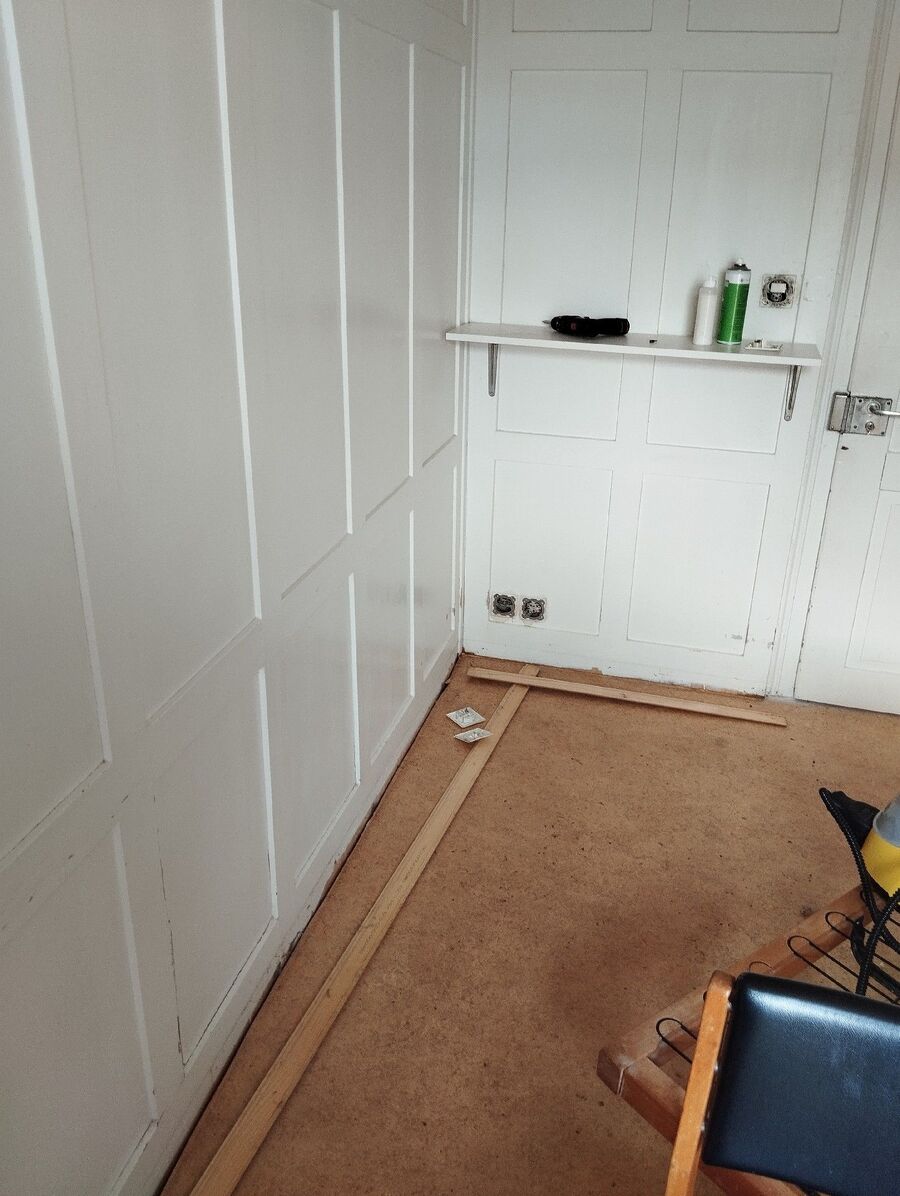 bettwanzen_bekaempfen