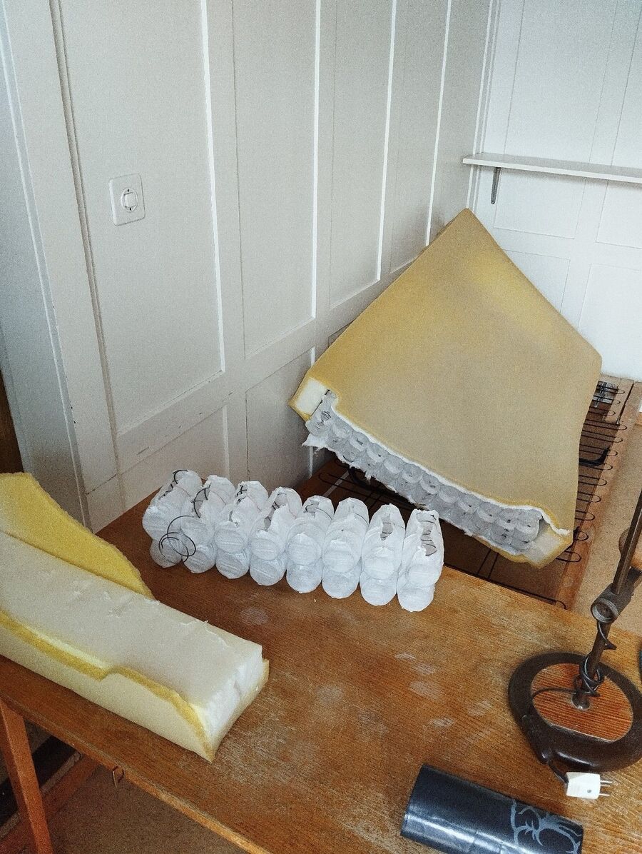 bettwanzen_bekaempfen