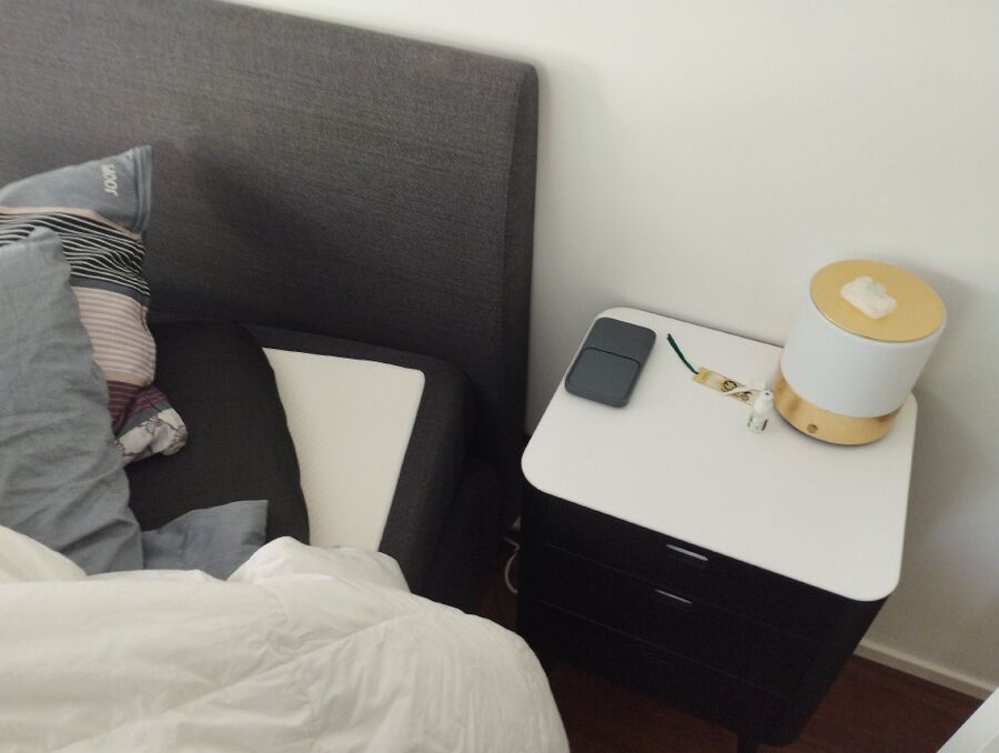 bettwanzen_bekaempfen