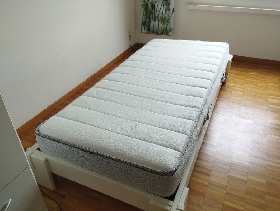 bettwanzen_bekaempfen