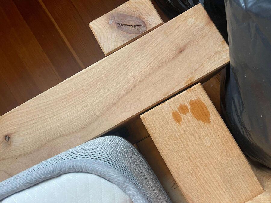 bettwanzen_bekaempfen