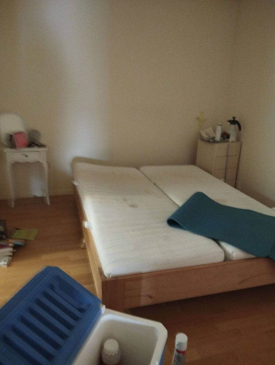 bettwanzen_bekaempfen