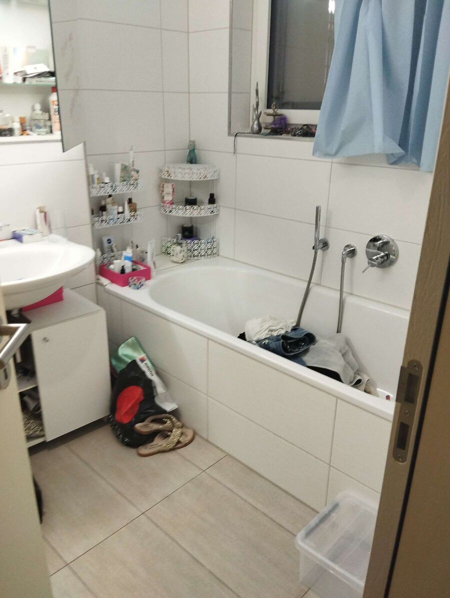 bettwanzen_bekaempfen