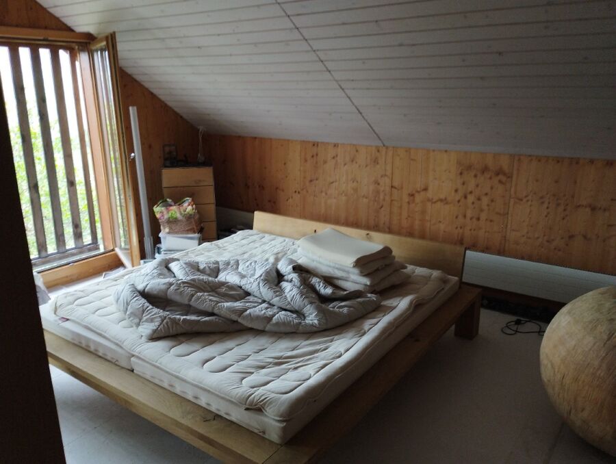 bettwanzen_bekaempfen