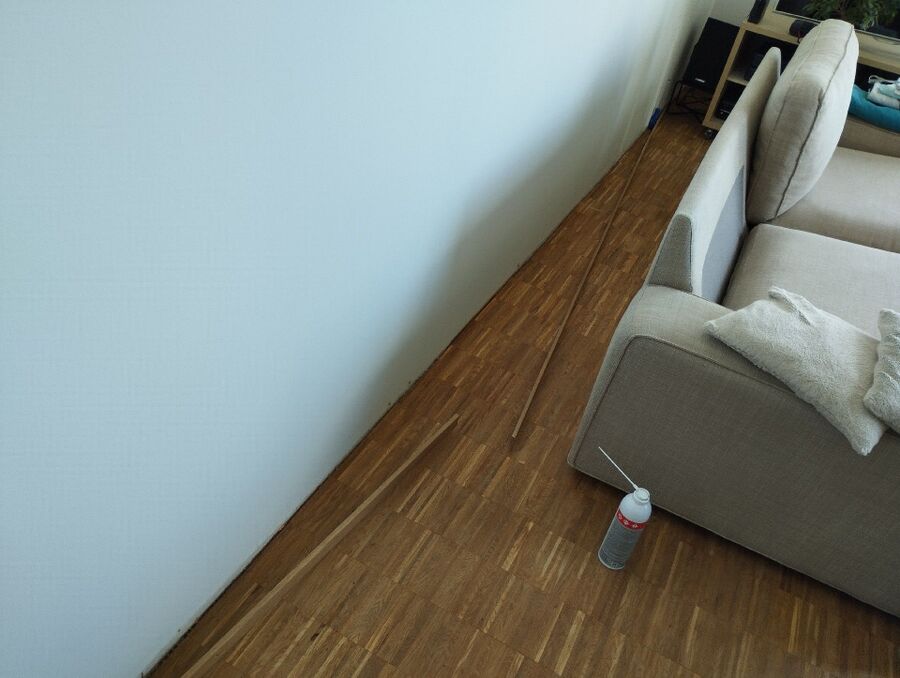 bettwanzen_bekaempfen