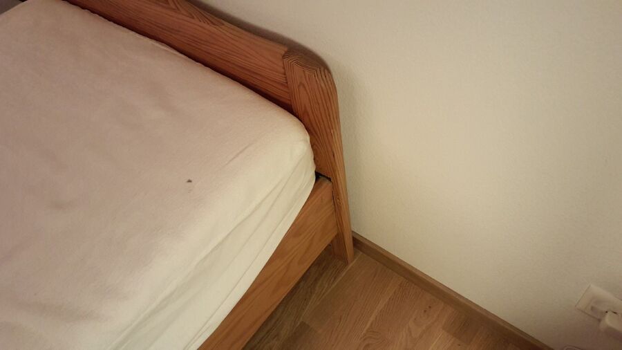 bettwanzen_bekaempfen