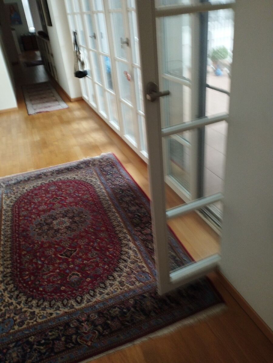 bettwanzen_bekaempfen