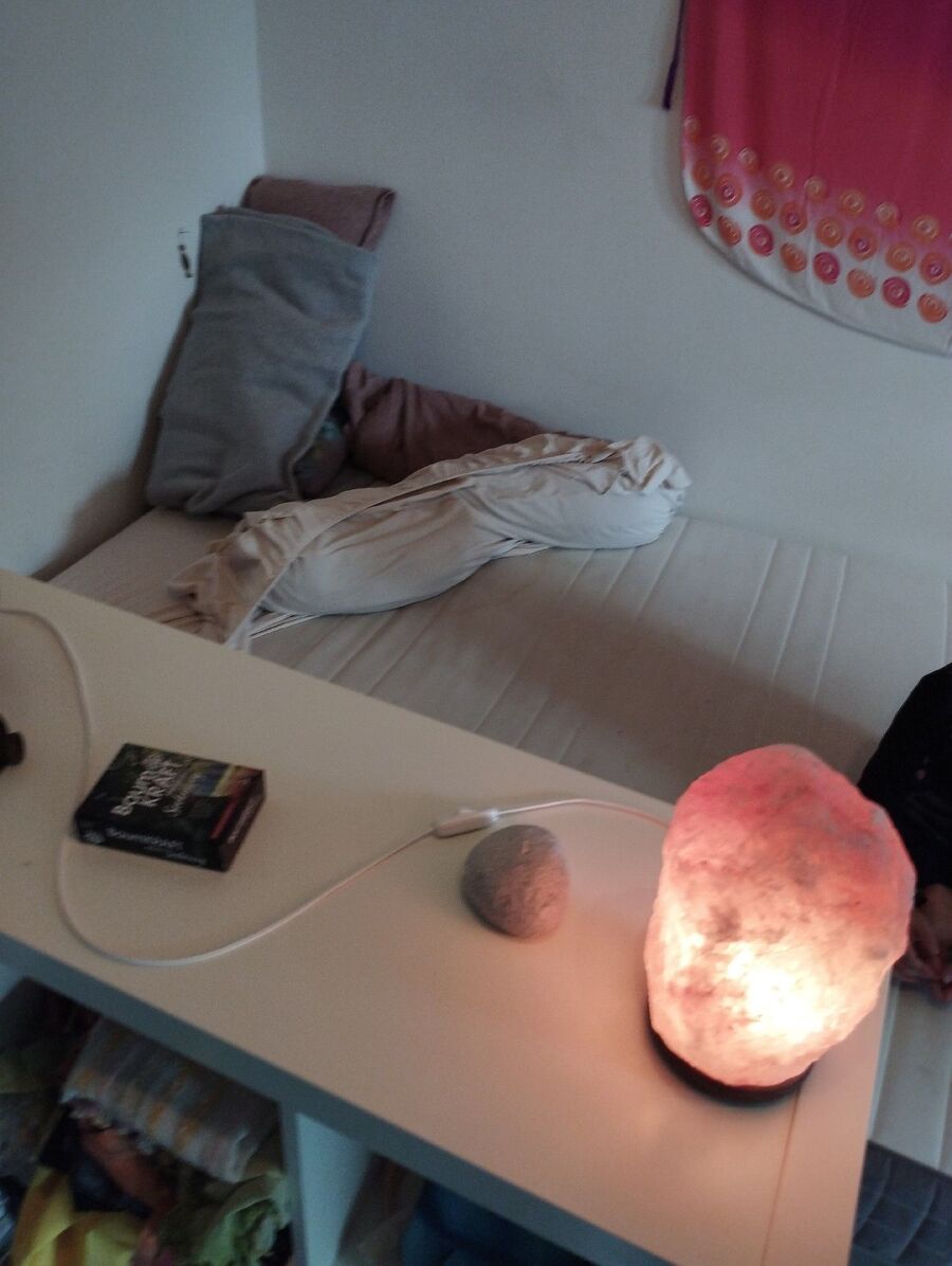 bettwanzen_bekaempfen