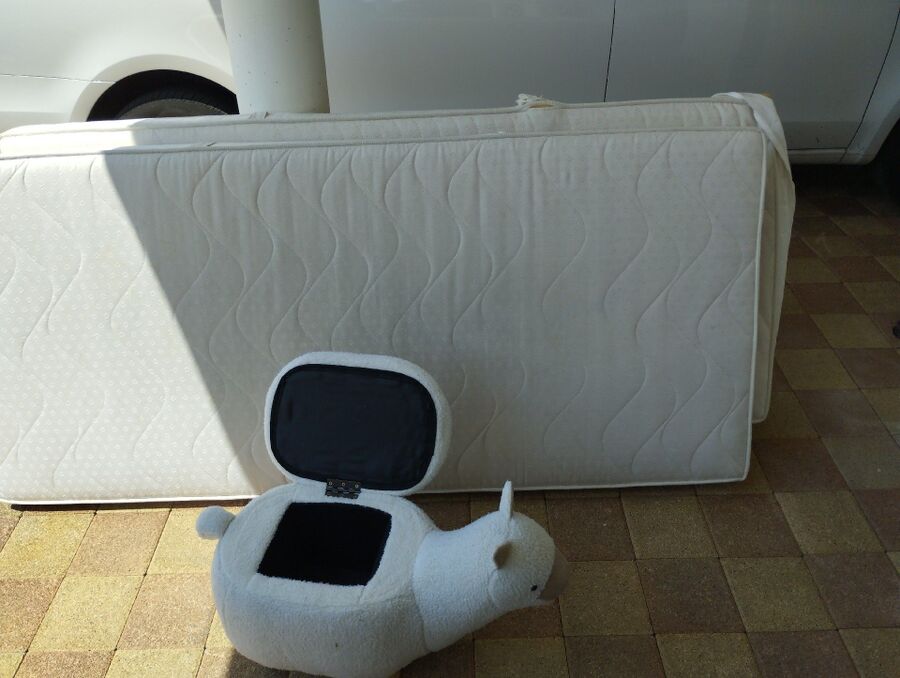 bettwanzen_bekaempfen