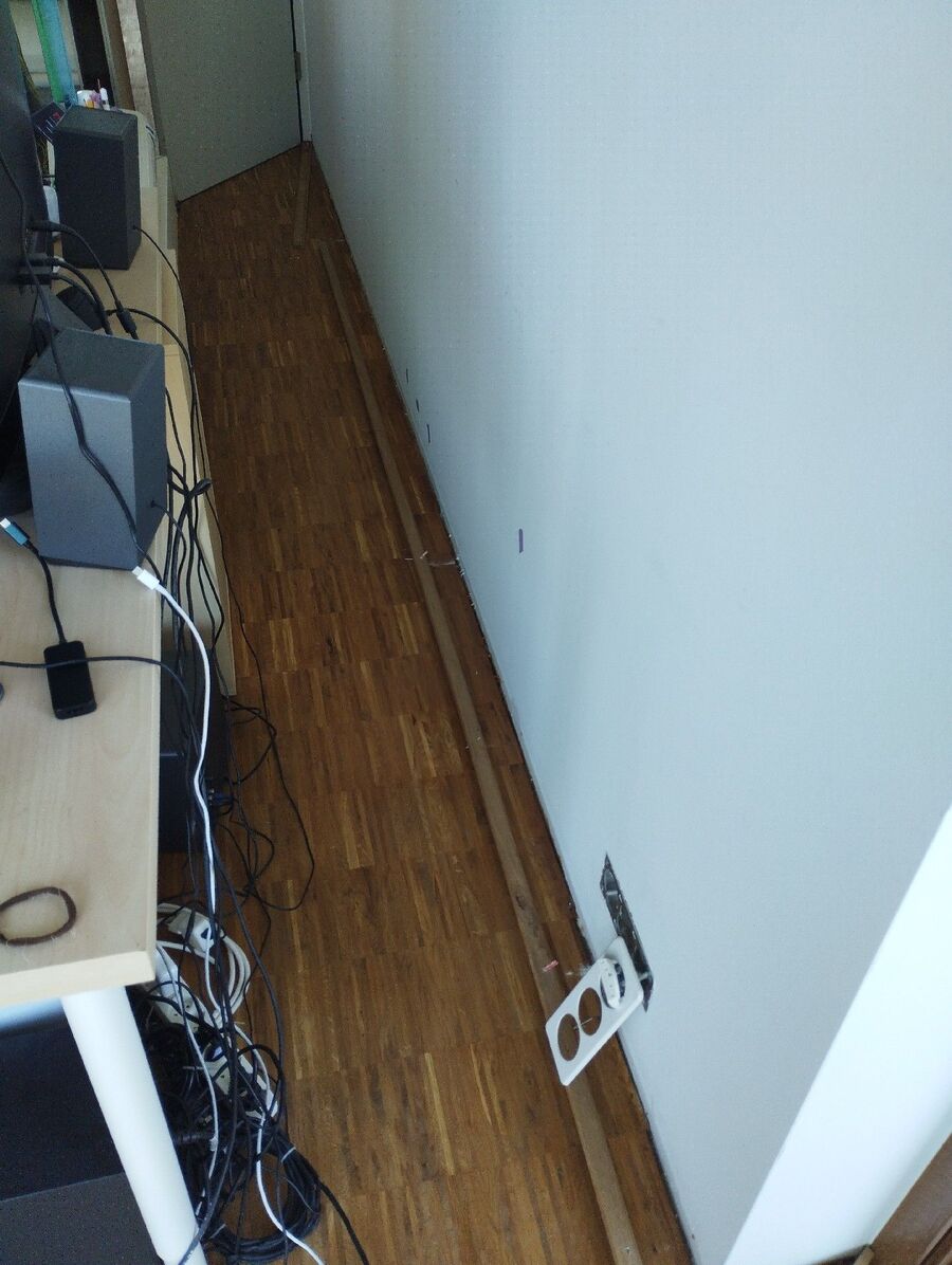 bettwanzen_bekaempfen