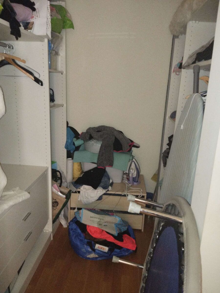 bettwanzen_bekaempfen