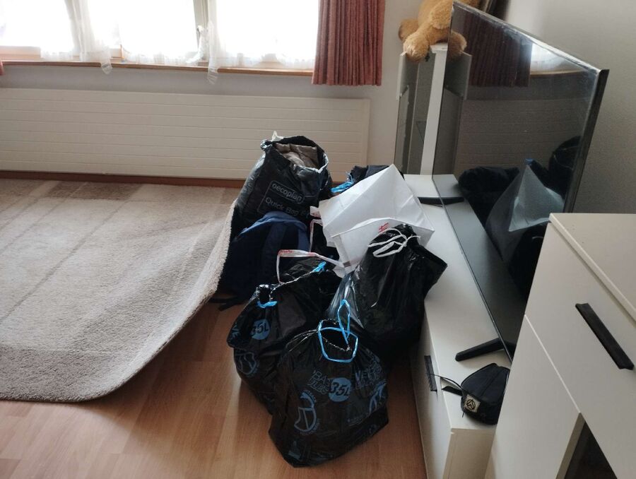 bettwanzen_bekaempfen