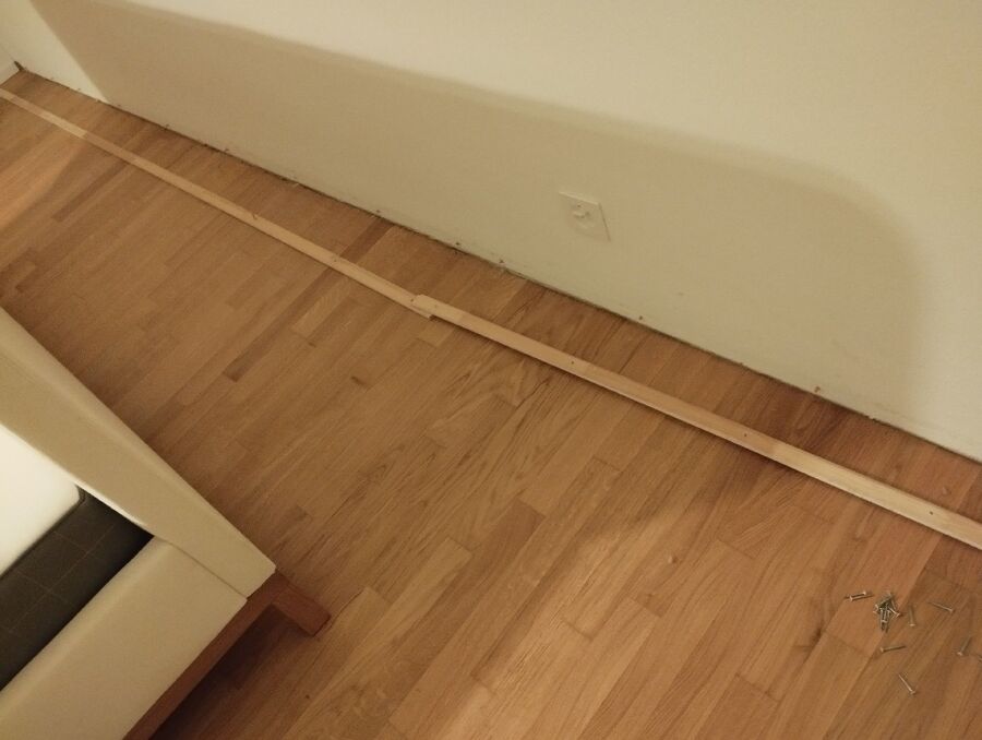 bettwanzen_bekaempfen