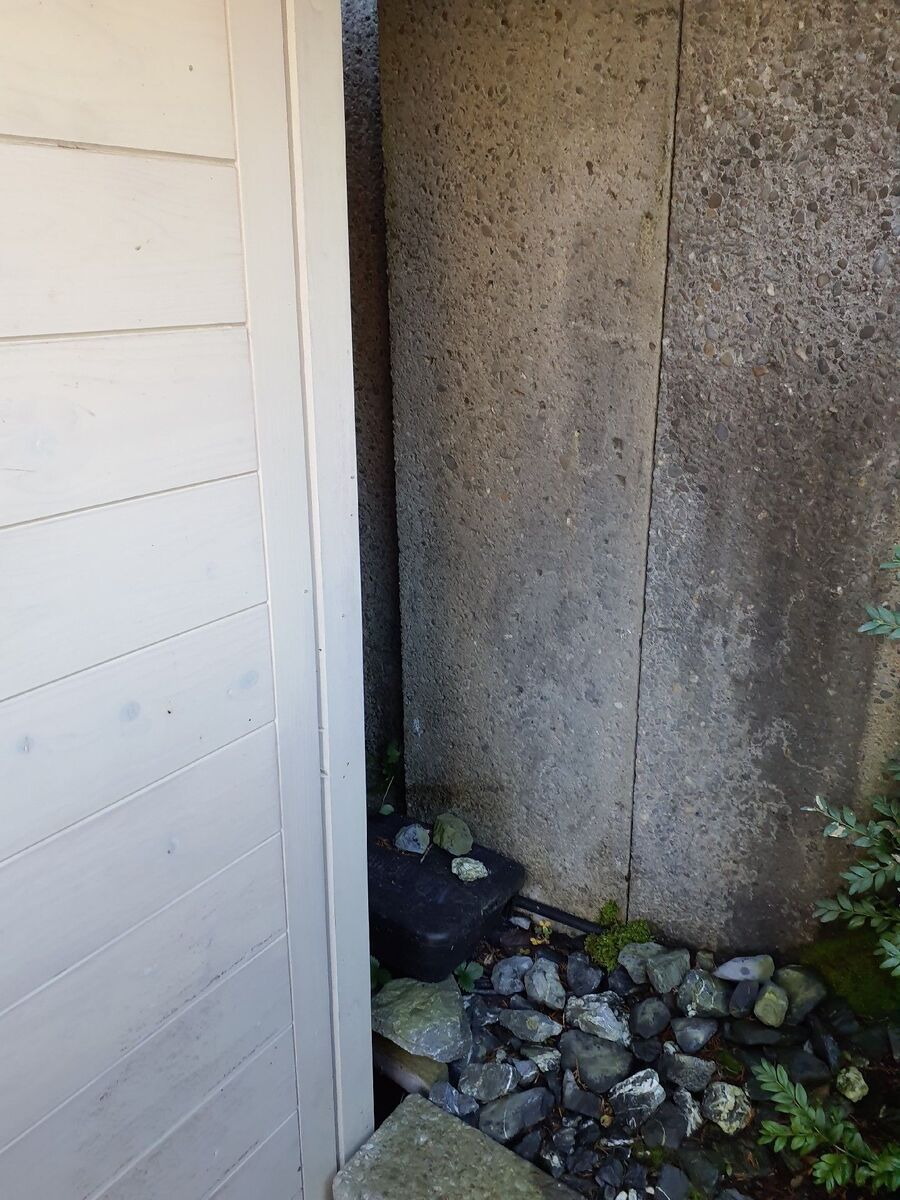 ratten_bekaempfung_ratten_vertreiben