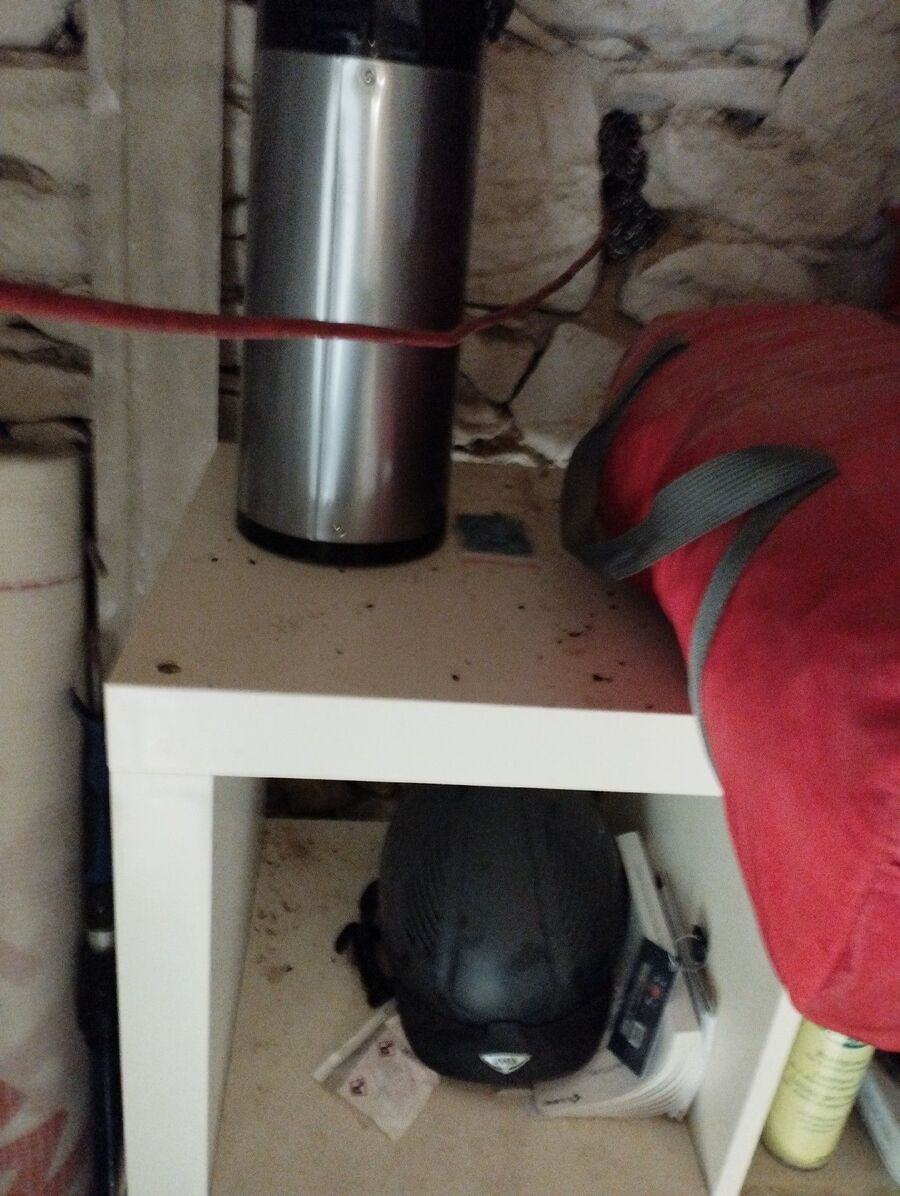 ratten_bekaempfung_ratten_vertreiben