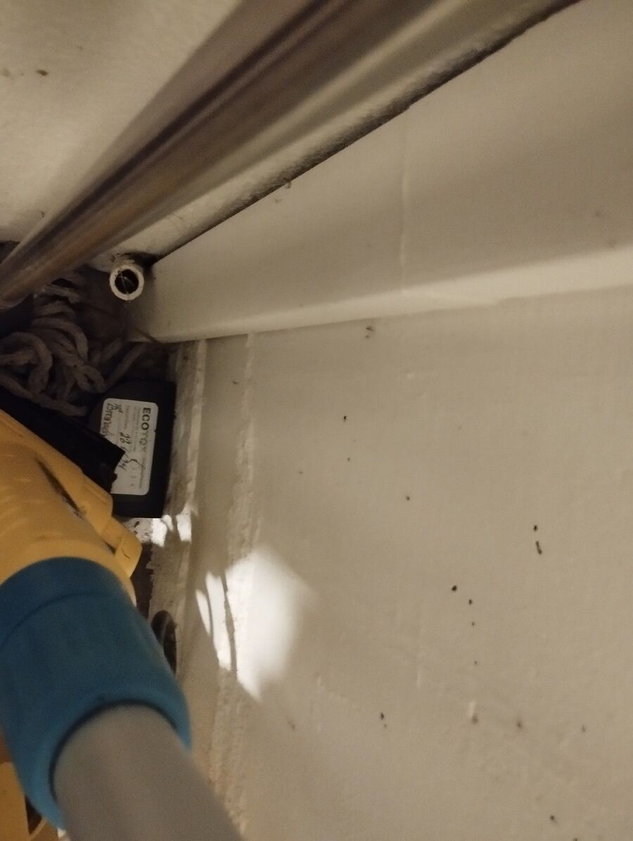 ratten_bekaempfung_ratten_vertreiben