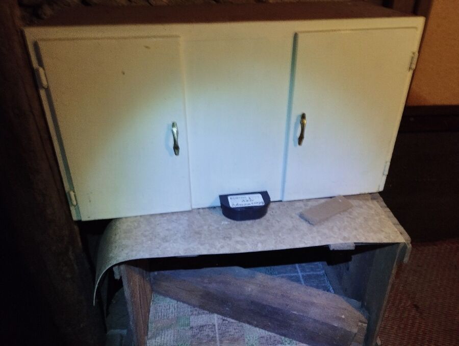 ratten_bekaempfung_ratten_vertreiben